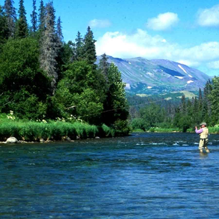 Ep. 70 – Man, Dog, Wilderness, Camera, TV