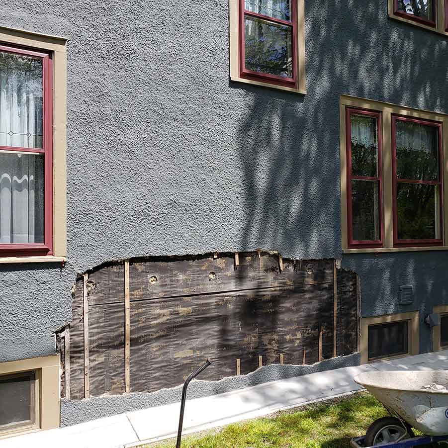 Ep. 109 – Double Trunked Tree